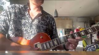 Guitar Solo Cover - Fields Of Joy - Kravitz