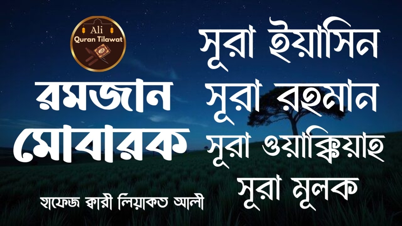 সূরা ইয়াসিন সূরা আর রহমান সূরা ওয়াকিয়াহ সূরা মূলক সকালের বরকতময় আল কোরআন তেলাওয়াত  ||