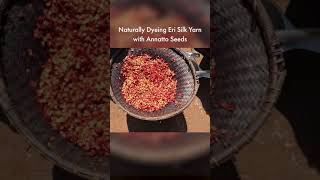 Naturally dyeing yarn with Annatto seeds #shorts Resimi