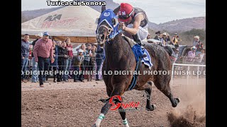 Carreras de Caballos En Turicachi Sonora 1ro De Enero 2024