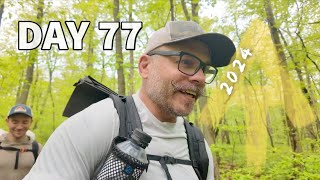 Bumble Blazing? - Day 77 - Appalachian Trail