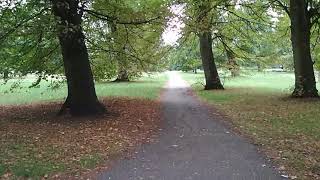 世界の公園:ロンドン・ハイドーパーク森林浴散歩で都会のアーシング&デトックス!London Hyde Park Walk Detox In The Wood 世界の公園:ロンドン・ハイドーパーク森林浴散歩で都会のアーシング&デトックス!London Hyde Park Walk Detox In The Wood