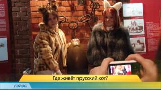 Сюжет Прусский Кот 05 03 15 Сюжет Прусский Кот 05 03 15