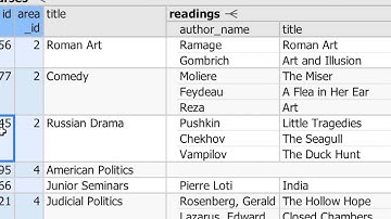 SIEUFERD: A Visual Query System