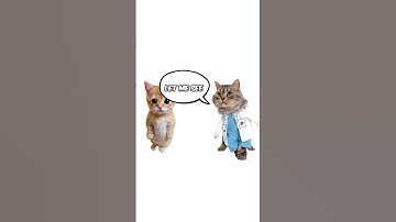 How hemorrhoids work? explain with kitties