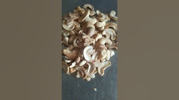 hướng dẫn cạo vỏ lụa hạt điều