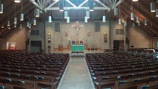 8:00am Mass from Holy Cross Catholic Church (July 9, 2026)