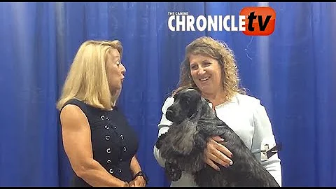 Table Talk Live! at Houston  Kristin Lyons