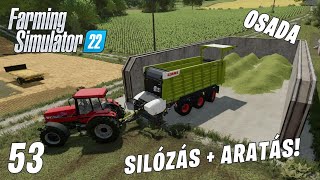 Farming Simulator 22 LIVE #53 - Új siló + aratás! Osada #12