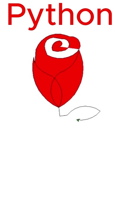 flower design using python.| Amin Coding. #python #flowers #design # ...