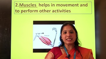 11TH NOV NORTH CLASS V SCIENCE AMAZING ASSIGNMENT KEY