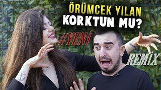 Örümcek Korktun mu Patlamalık Bass Müzik (Serkan Köktürk) 2o18 Resimi