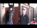Badminton 2011 | Paul Tapner - One Year On