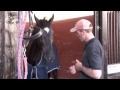 Badminton 2011 | Paul Tapner - One Year On