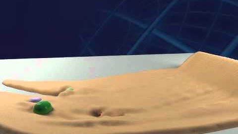 Simulation of interaction between soft body, rigid body and fluid