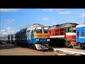 ДР1А-164 с поездом  №6427 Жлобин – Калинковичи прибывает на станцию Светлогорск-на-Березине