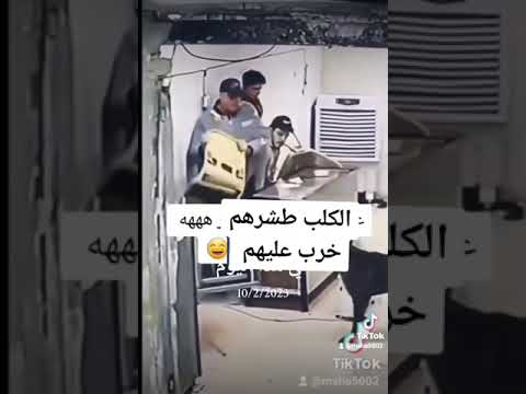 طشرنا الوقت ما كنا ملمومين حيدر العابدي أغاني عراقية