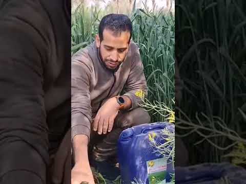 الفرق مابين حمض الفسفوريك الأصلي والمضروب