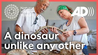 Download Lagu Unieke gepantserde dinosaurus ontdekt in Marokko (audiobeschrijving) MP3