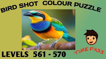 Bird sort colour puzzle game 🐦 levels 561-570 #bitdsortcolorpuzz #birdpuzzle #birdshort
