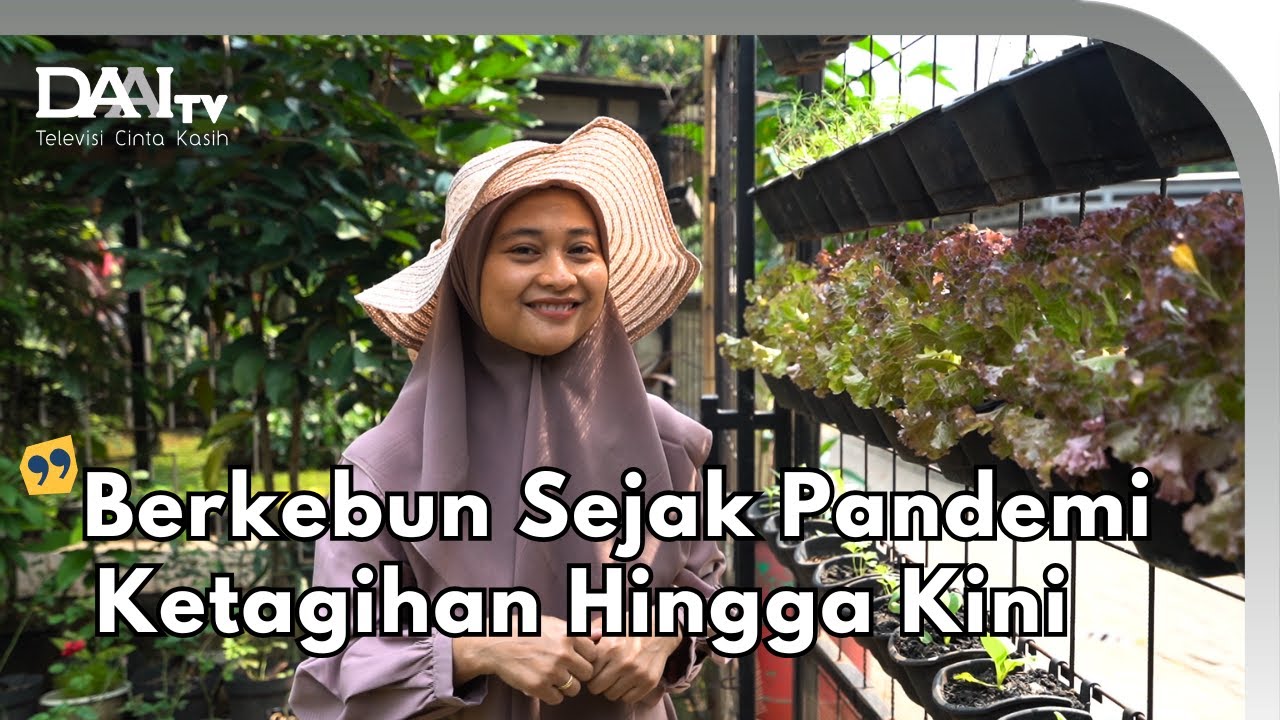 Berkebun di Samping Rumah - Reksataru Garden