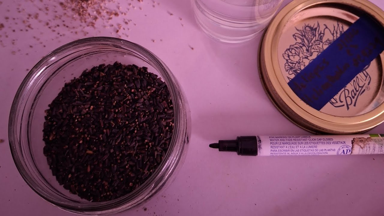 PLASTIC-FREE WINTER SOWING (Cold Stratification)
