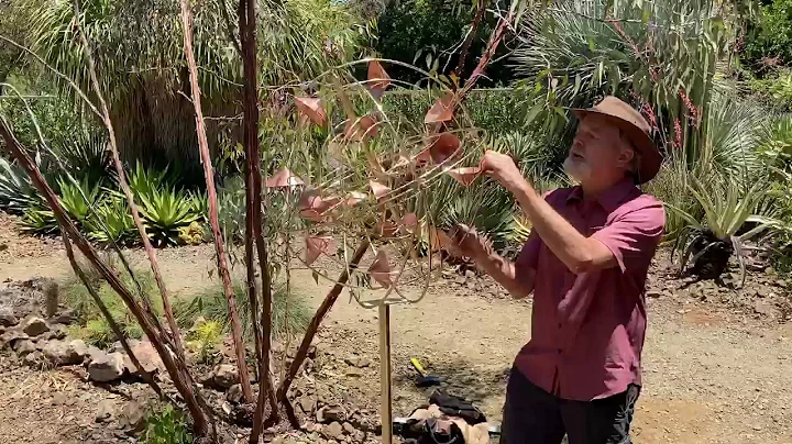 Ruth Bancroft Garden Sculpture Show Artist Roger H...