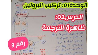 الدرس02: ظاهرة الترجمة (وحدة تركيب البروتين)||بكالوريا 2025
