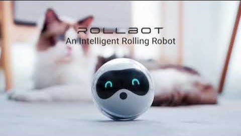Rollbot - An Intelligent Rolling Robot