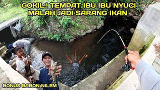 Gak Nyangka.! Mancing di selokan Tempat Nyuci Ibu Ibu Ternyata Banyak ikanya #LM41