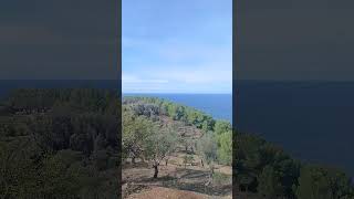 Deià to Sóller 🥾🌊 | Stunning Sea Views & Centuries-old olive trees #Shorts