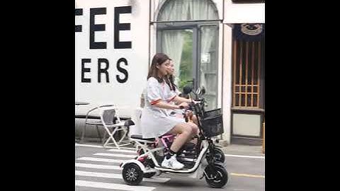 電動三輪車 家用小型 電動車 接送孩子 老年人代步車  購買鏈接：https://www.ruten.com.tw/item/show?22328179848936 - 天天要聞
