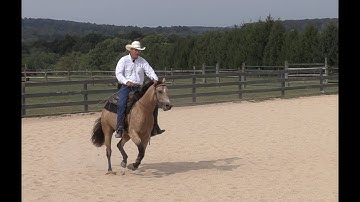To Lope or Not to Lope (Episode 122) - Herm Gailey: A Lifetime with Horses