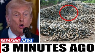 End Is Near? See What Just Happened In The Usa Shocked Shocked The World Is Christ Coming Soon?