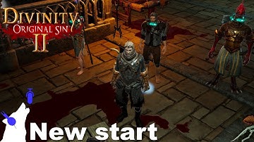 Divinity Original sin II - full party in the dungeon