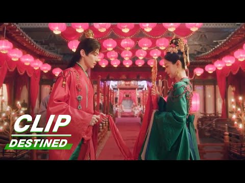 Wow! Gu & Liu's Wedding is So Romantic | Destined EP03 | 长风渡 | iQIYI