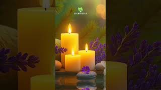 Relaxation Music for Deep Sleep, Stress Relief, Anxiety & Insomnia✨🌷 #relax #sleepmusic #pianomusic