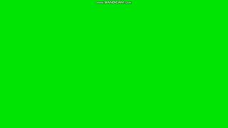 Bandicam - Green screen watermark, new version (1080p 60fps)
