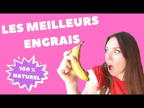 Vidéo: Engrais Pour Plantes D'intérieur