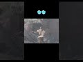 Rampage Movie Fight Scene Movie Fighting Film Rampage Shorts 