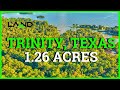 Land For Sale 1 2545 Acres In Trinity County TX Land For Sale 1 2545 Acres In Trinity County TX