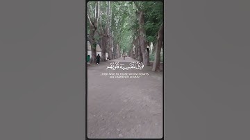 تلاوة خاشعة لآيات من كتاب الله #القرآن_الكريم #الله #اكسبلور #foryou #المصحف #راحة_نفسية #fyp