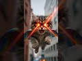 Supercat 😱