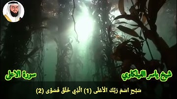 سورة الأعلى ياسر الفيلكاوي
