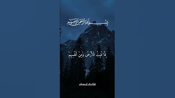 دقيقة من وقتك -📖 تلاوة خاشعة تهز القلوب | #الرحمن# القرآن #ياسر_الدوسري