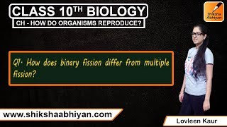 Q1 How does binary fission differ from multiple fission