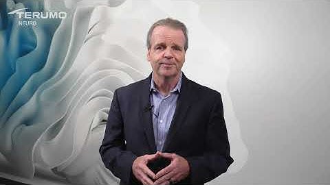 ESMINT 2025: PHIL Liquid Embolic, WEB at 15, and Sophia Flow 88 — What’s New