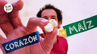 Video thumbnail of "PIM PAU · CORAZÓN DE MAÍZ (Al ritmo de Samba)"