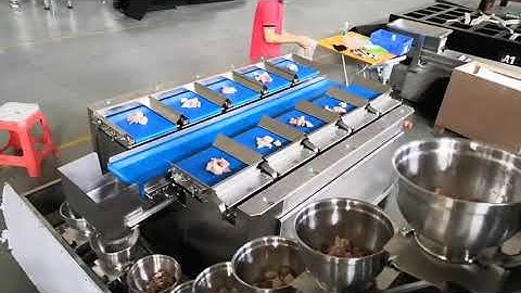 10 Head Linear Combination Weigher+Tube Packaging Machine for Pork