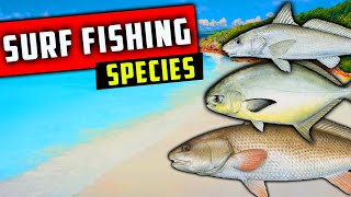 What Type of Fish Can You Catch While SURF FISHING in Florida?